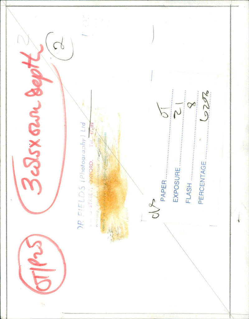 Two people in a field of wildflowers with a camera. - Vintage Photograph