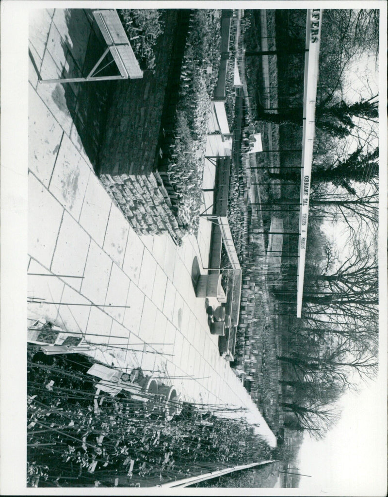 Two people in a field of wildflowers with a camera. - Vintage Photograph