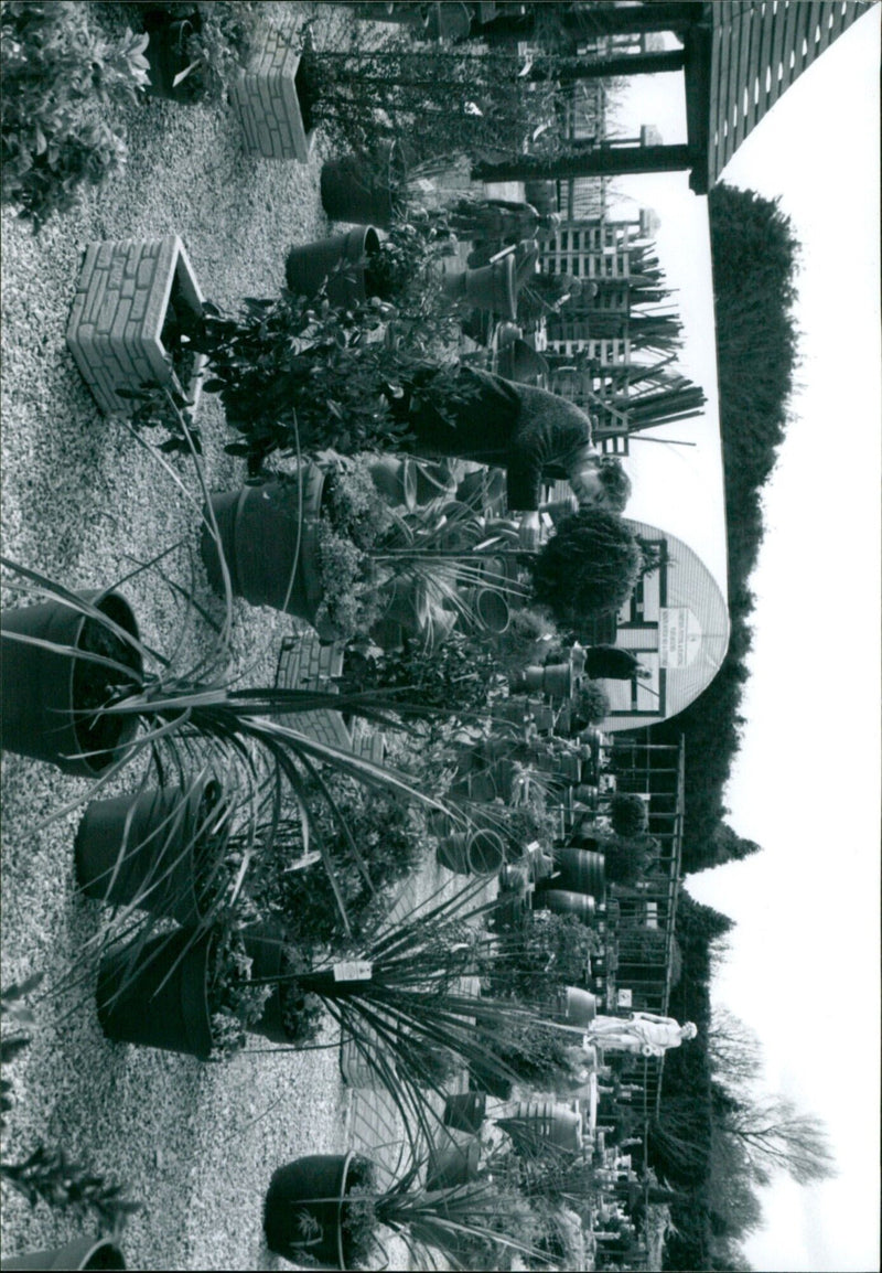 The Burford Garden Centre near Witney, Oxfordshire on May 7th, 2021. - Vintage Photograph