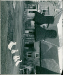 A variety of bushes, trees, and ducks create an unexpected scene at Minching Court Farm. - Vintage Photograph
