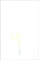 Prince Charles and Diana, Princess of Wales, share a laugh on their wedding day. - Vintage Photograph