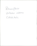 A white rhinoceros stands among the dry grass in a nature reserve. - Vintage Photograph