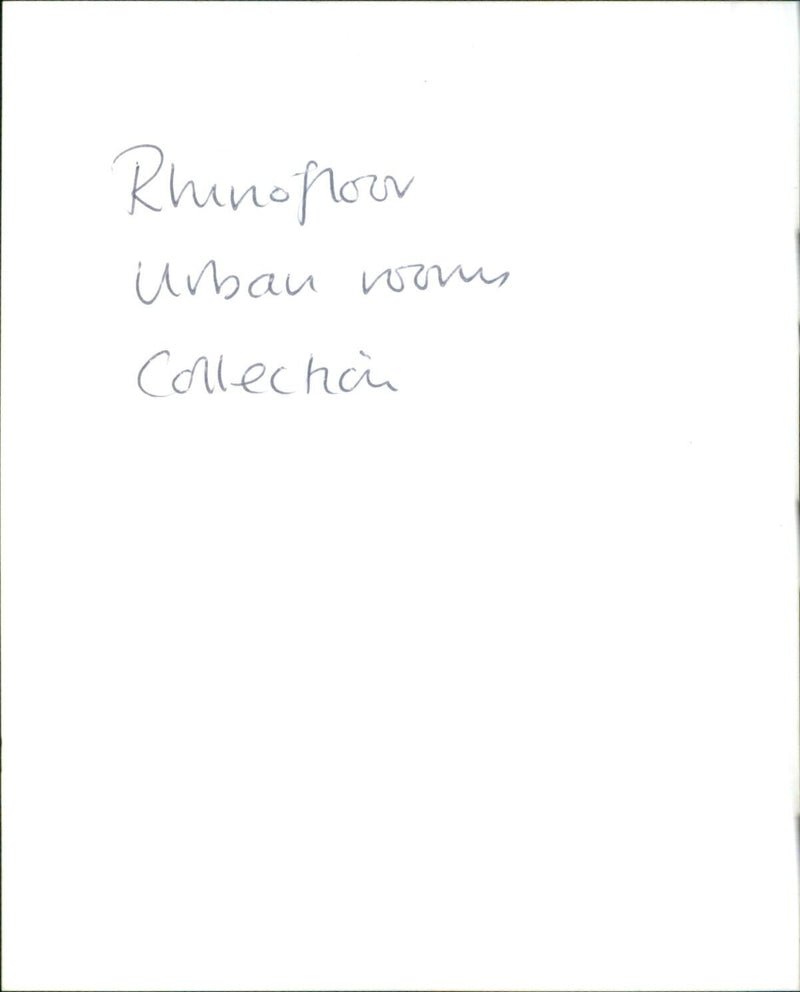 A white rhinoceros stands among the dry grass in a nature reserve. - Vintage Photograph