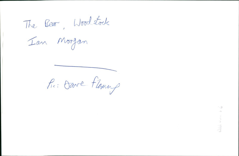 A bear stands in the middle of a wooded area. - Vintage Photograph