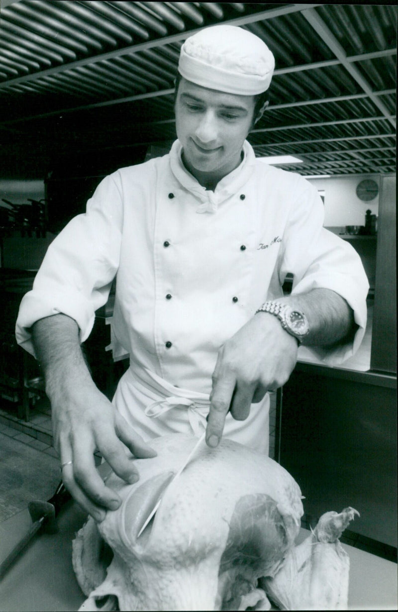 A bear stands in the middle of a wooded area. - Vintage Photograph
