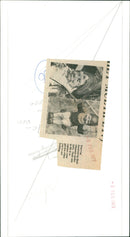 Two young raccoons peer out of a tree trunk. - Vintage Photograph