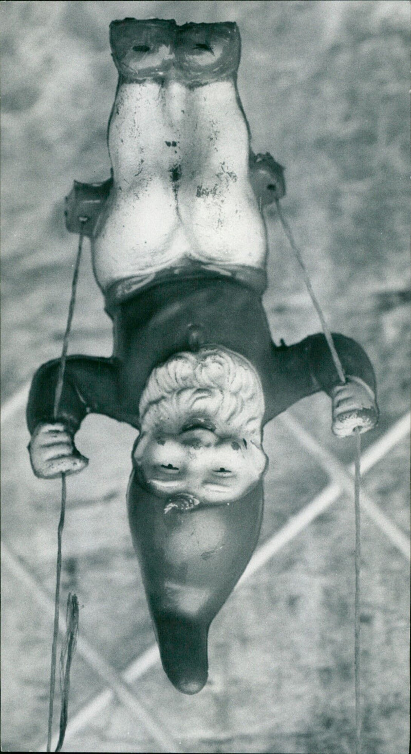 Two young raccoons peer out of a tree trunk. - Vintage Photograph