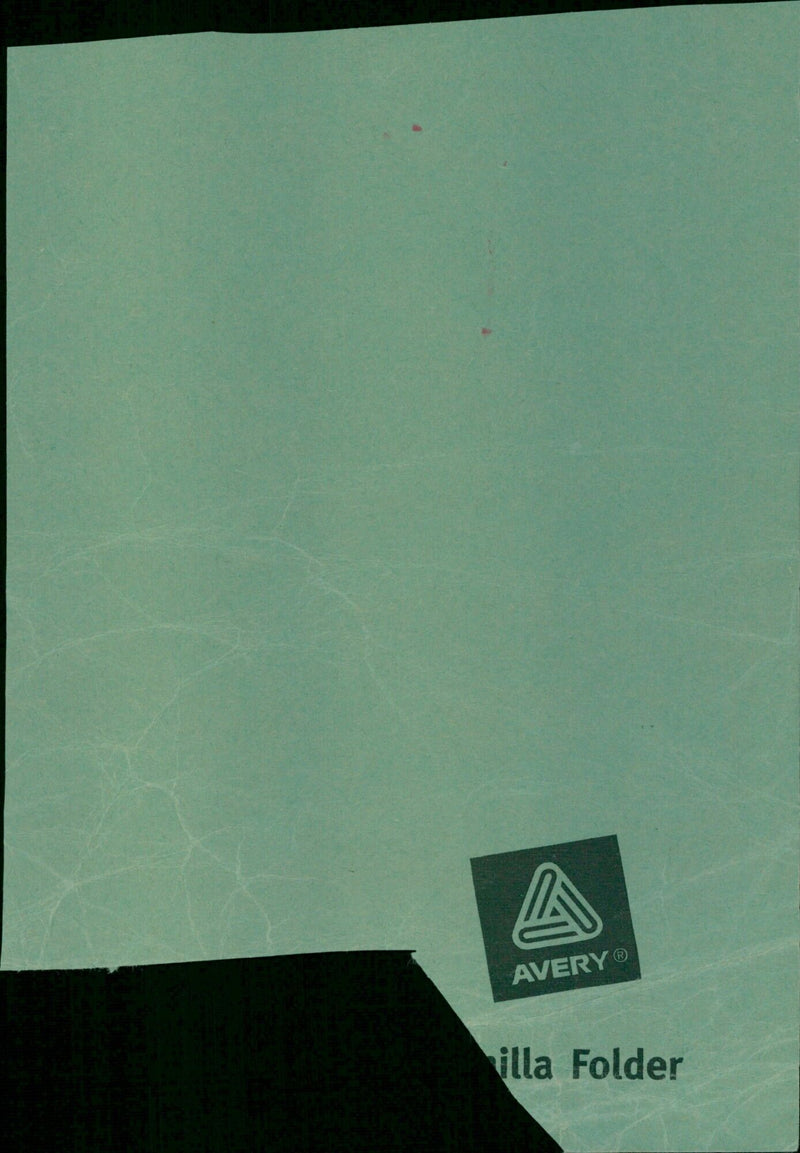 A greenhouse in a garden centre in Avery Hill, London. - Vintage Photograph