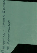 A greenhouse in a garden centre in Avery Hill, London. - Vintage Photograph