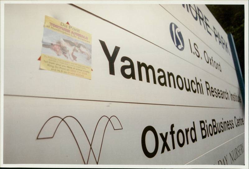 Animal rights protesters demonstrate outside the Yamanouchi Research Institute, linking it to Huntingdon Life Sciences. - Vintage Photograph