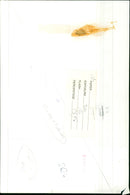 A group of people laughing and acting out a scene in a city street. - Vintage Photograph