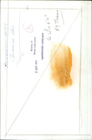 A swimmer dives into a pool on September 7th, 1970. - Vintage Photograph