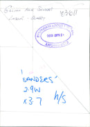 Gillian Ann Sanders, Labour candidate, at a quarry in Linaloo, Aindoo. - Vintage Photograph