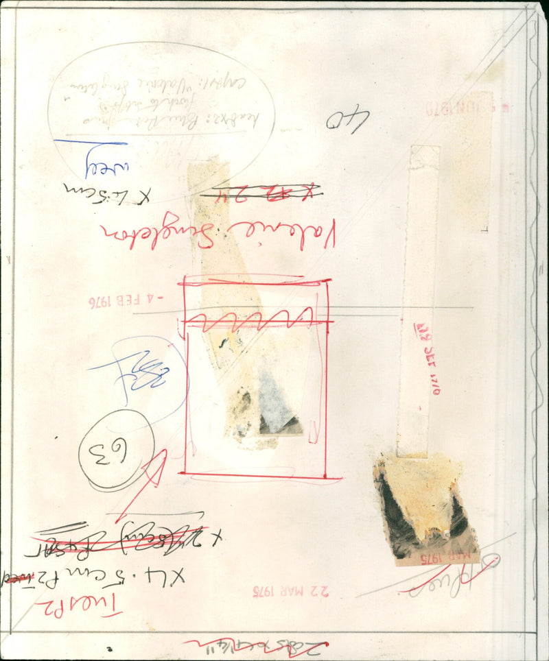 A flock of blue birds perched atop a tree in Valonic Singleton's suburban backyard. - Vintage Photograph