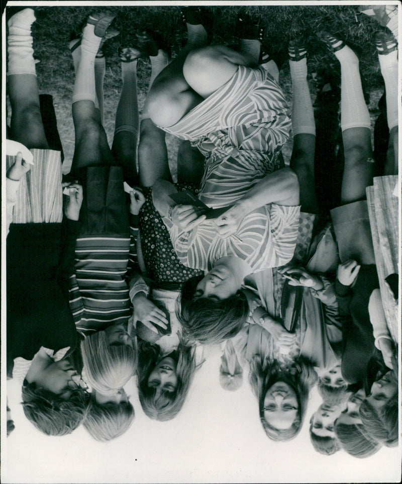 A flock of blue birds perched atop a tree in Valonic Singleton's suburban backyard. - Vintage Photograph
