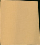 Elinor Singleton attends a press conference in Washington, D.C. - Vintage Photograph