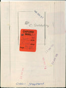 Actress Cybill Shepherd poses for a photograph. - Vintage Photograph