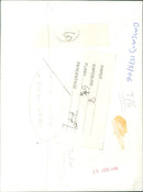 A deer stands in a meadow on a sunny day. - Vintage Photograph