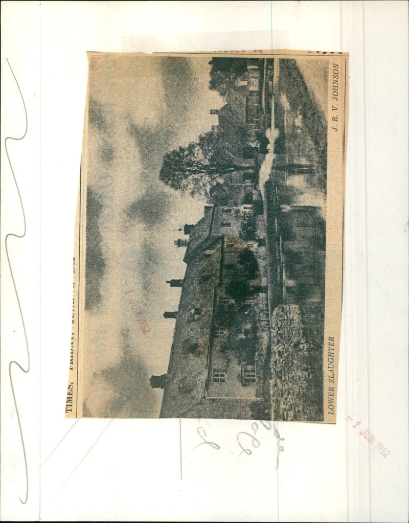 A herd of cows grazing in Lower Slaughter, Gloucestershire. - Vintage Photograph