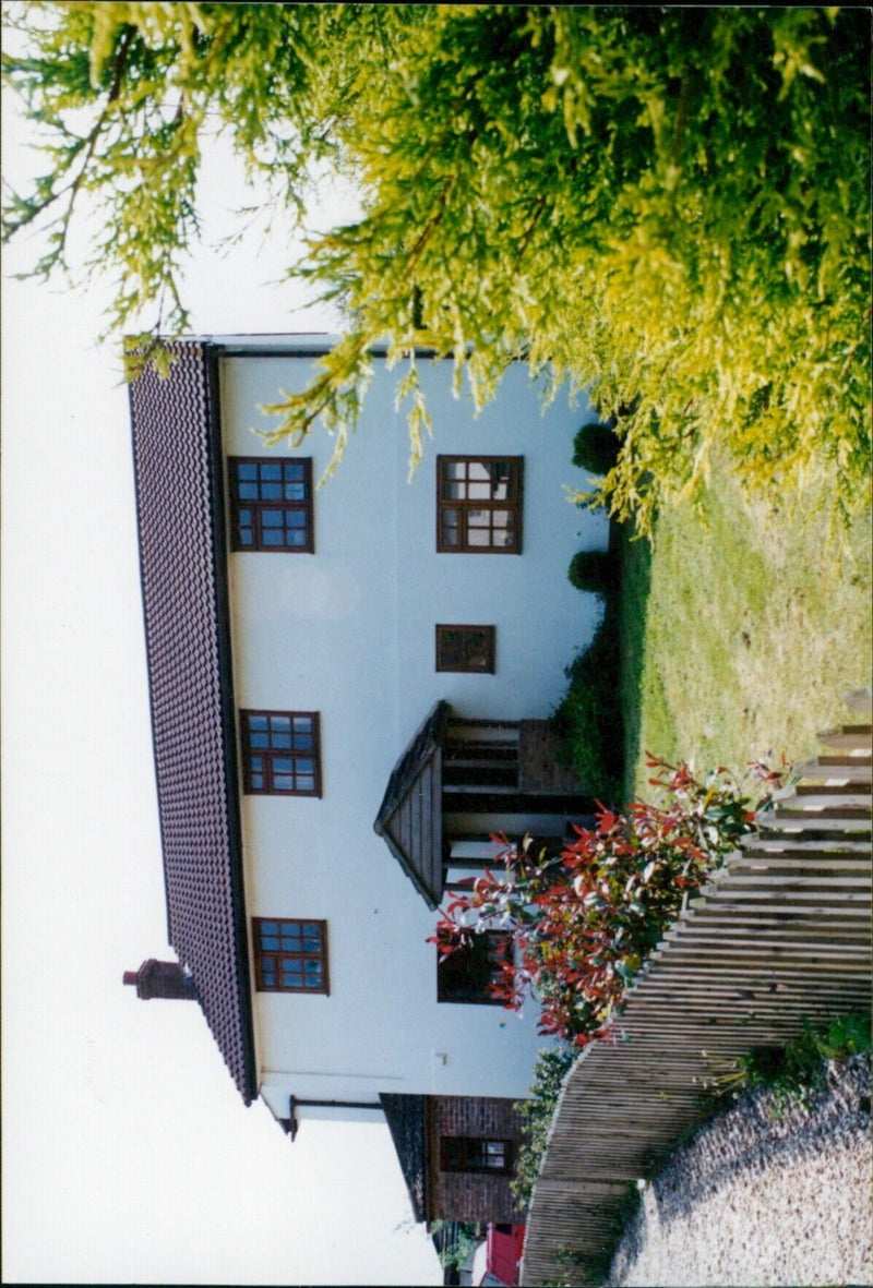 A mouse perched atop a flower in Grendon Underwood, England. - Vintage Photograph