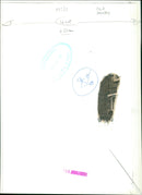 Old houses in a rural landscape. - Vintage Photograph