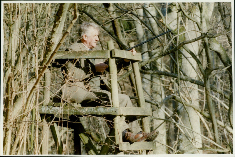 Mr. Walter Cole walking his dogs, Monty and Barney. - Vintage Photograph