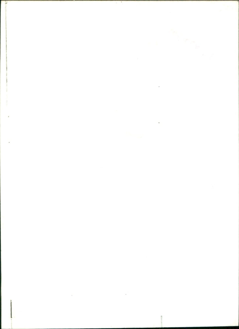 A beaver is seen swimming in a lake in the countryside. - Vintage Photograph