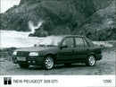 PEUGEOT - Vintage Photograph