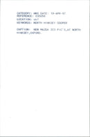 MAZDA 323 - Vintage Photograph