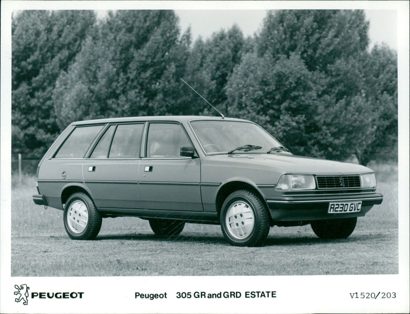 Peugeot - Vintage Photograph