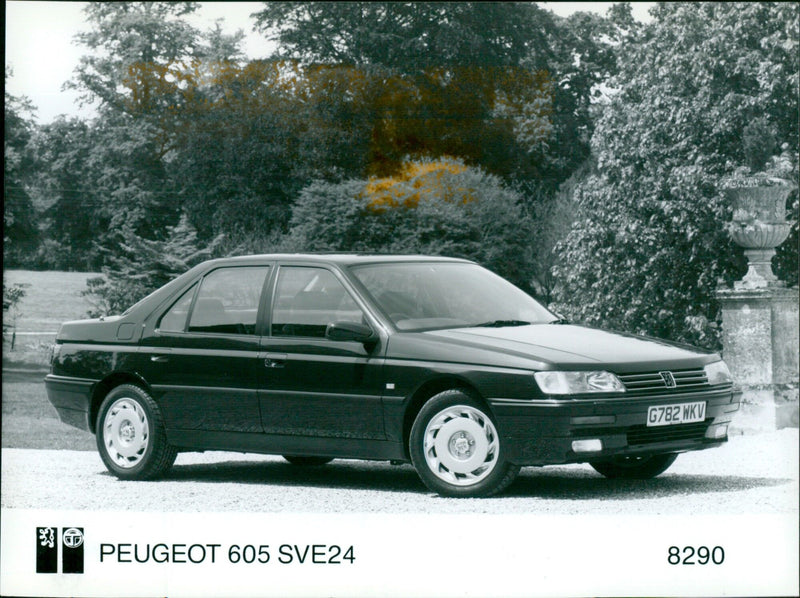 Peugeot - Vintage Photograph