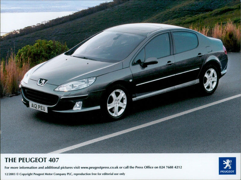 PEUGEOT - Vintage Photograph