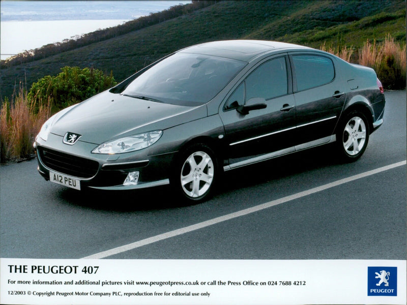 PEUGEOT - Vintage Photograph