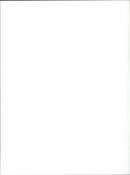 PEUGEOT 504 - Vintage Photograph