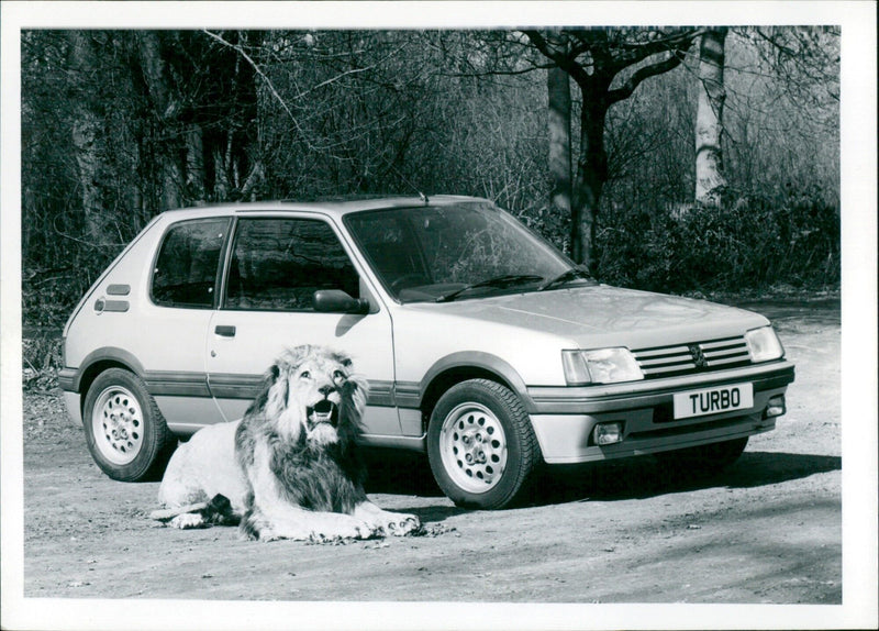 Peugeot - Vintage Photograph