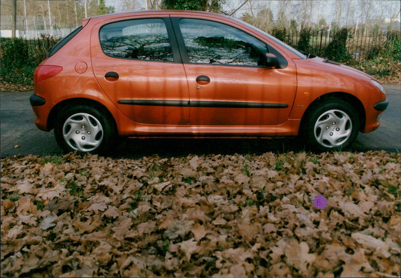 Peugeot - Vintage Photograph