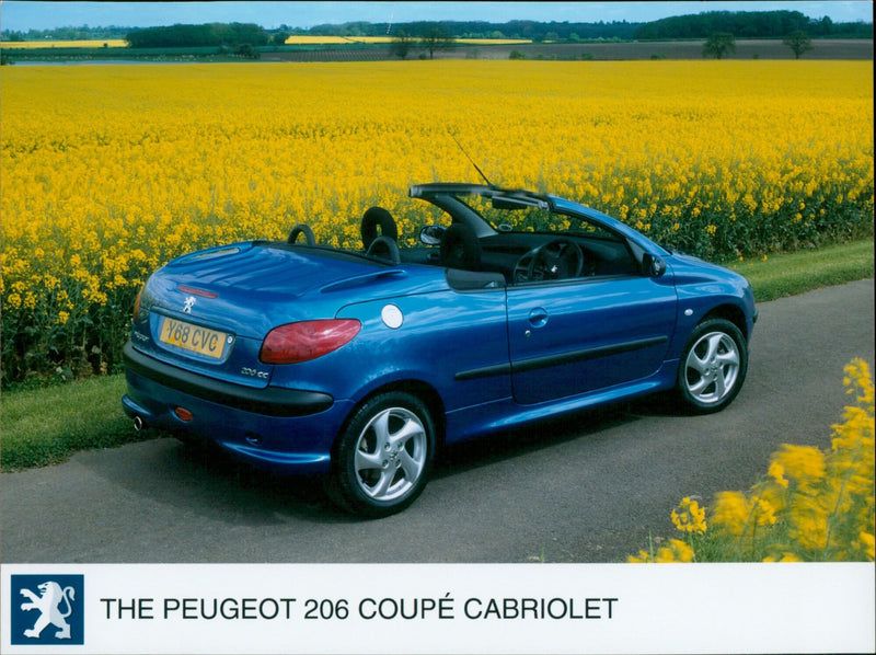 Peugeot - Vintage Photograph