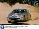 Peugeot - Vintage Photograph
