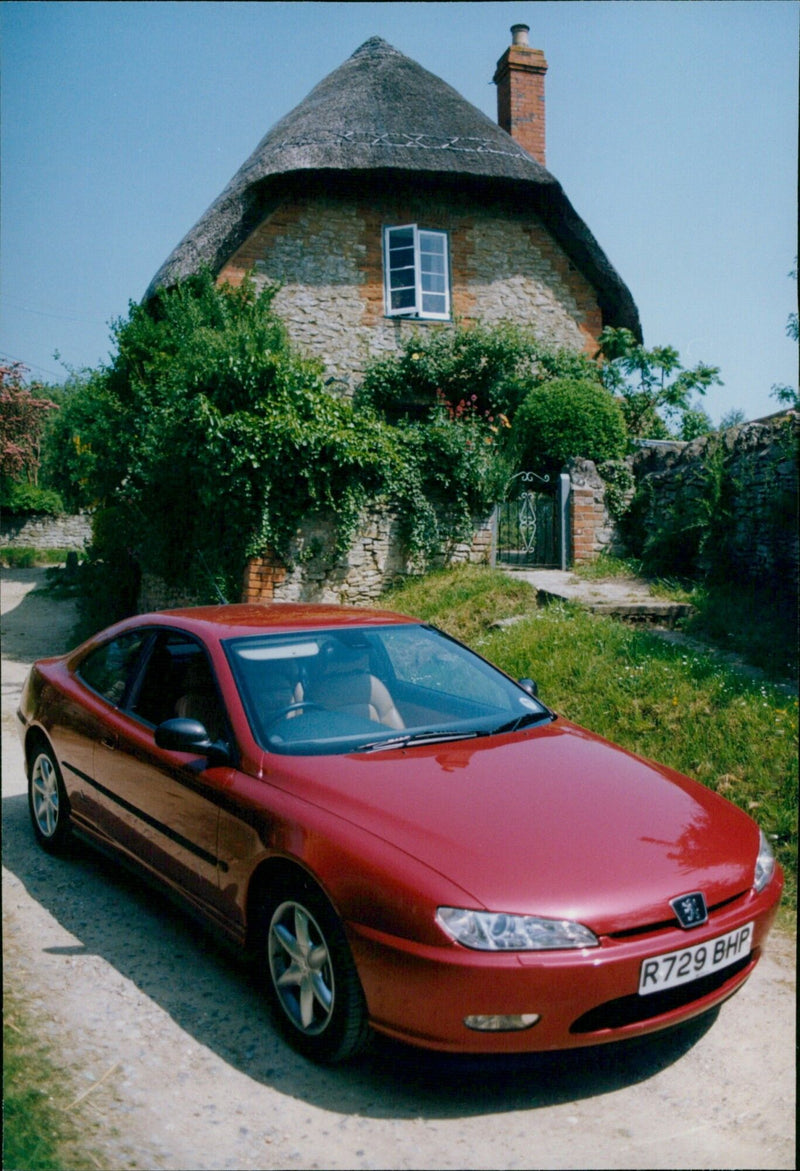 PEUGEOT - Vintage Photograph