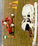 A couple and a buggy in a rural landscape. - Vintage Photograph