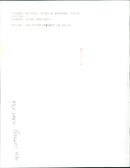 Peugeot - Vintage Photograph