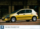 PEUGEOT 307 - Vintage Photograph