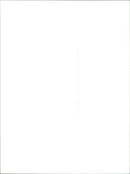 Renault Clio III - Vintage Photograph