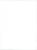 Renault Modus - Vintage Photograph