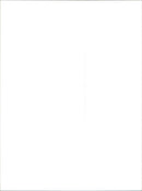 Renault Clio III - Vintage Photograph