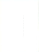 Renault Megane II - Vintage Photograph