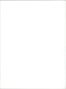 Renault Megane - Vintage Photograph