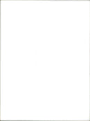 Fiat Punto - Vintage Photograph