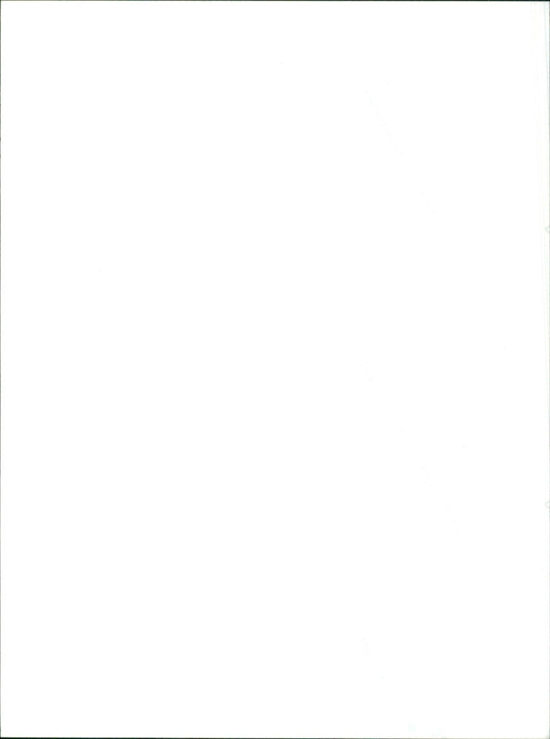 Suzuki Jimny - Vintage Photograph