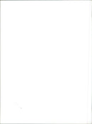 Fiat Punto - Vintage Photograph